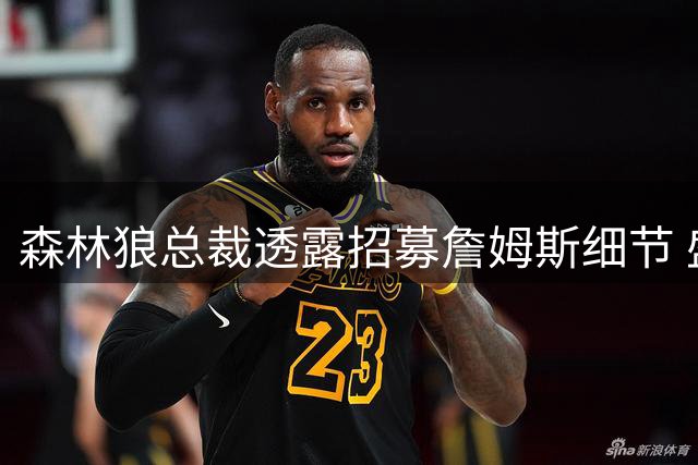 森林狼总裁透露招募詹姆斯细节 盛赞与年轻核心适配性